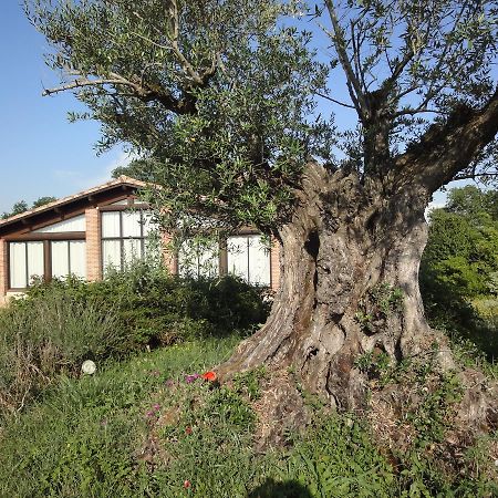 Отель Chalet Domaine De Combe Ramond Veilhes Экстерьер фото