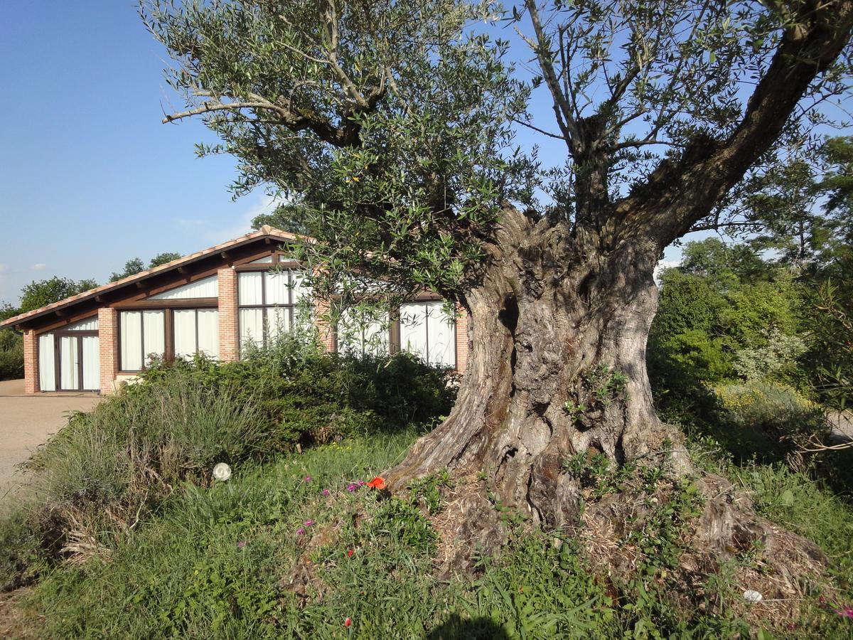 Отель Chalet Domaine De Combe Ramond Veilhes Экстерьер фото